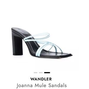 Wandler Light Blue Joanna Mules